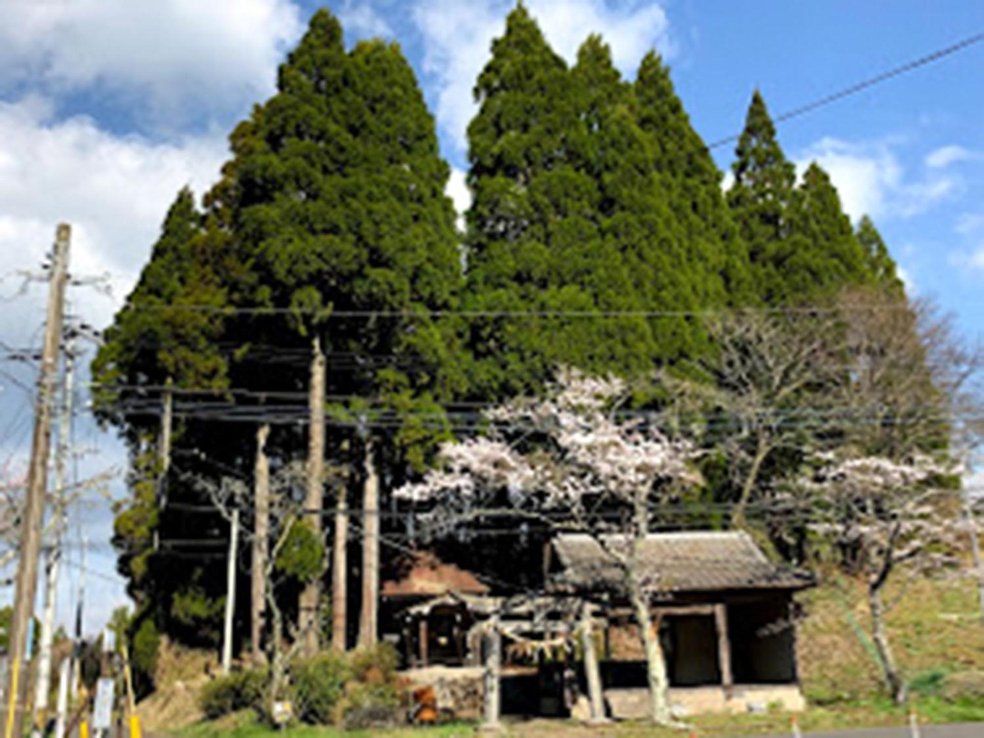 Guesthouse Kurihai Oita Exterior foto